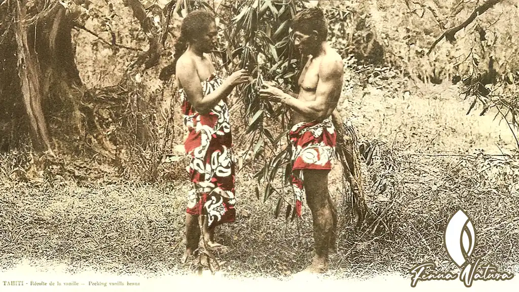 Quand l’IA et les innovations modernes subliment la tradition polynésienne